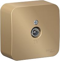 Розетка TV Коннектор накладная Systeme Electric Blanca 1-м. титан картинка